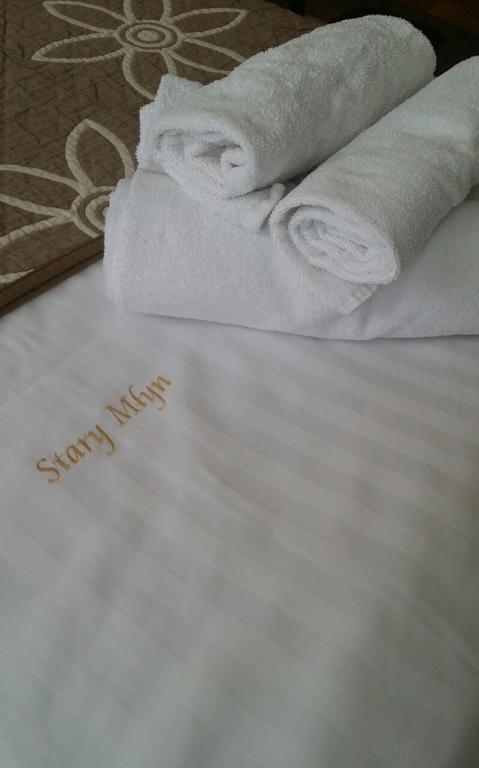 Stary Mlyn Hotel Zory Exterior photo